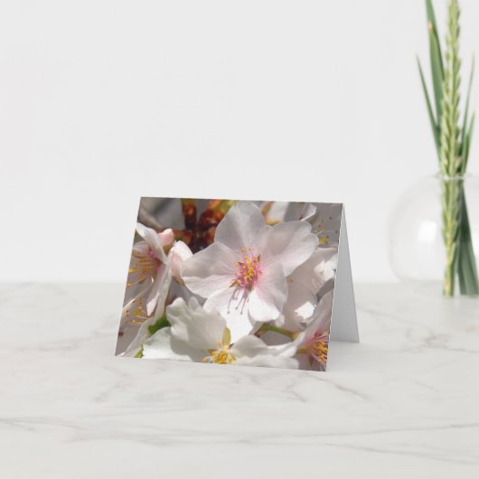 Lentetijd Bedankkaart (Voorkant)