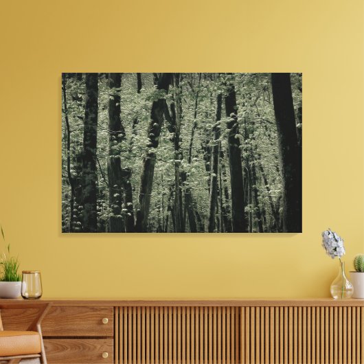 Lentetomen Canvas Afdruk (Insitu (Woonkamer))