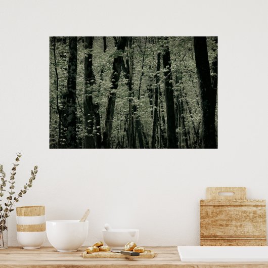 Lentetomen Poster (Keuken)