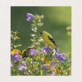 Lentetuin Collectie     Visitekaartje (Binnenkant ongevouwen)