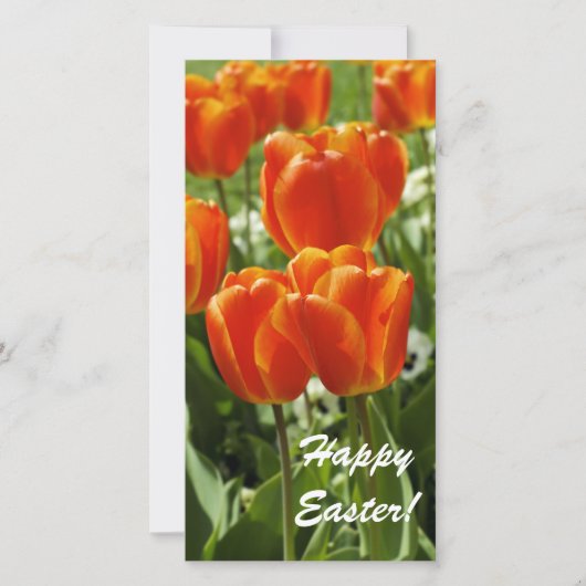 Lentetuin met tulpen feestdagenkaart (Voorkant)