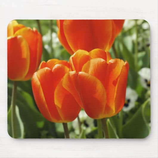 Lentetuin met tulpen muismat (Voorkant)