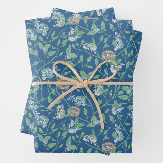 Lentetuin Moederdag Robin Nest Queen Ann Lace Inpakpapier Vel (In situ)