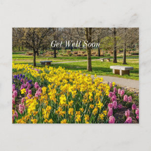 Lentetuinen Bloemen Tuin Herstellen Zonder Problem Briefkaart