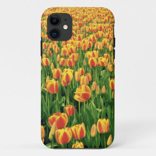 Lentetulpen bloeien voor oude schuur. iPhone 11 hoesje