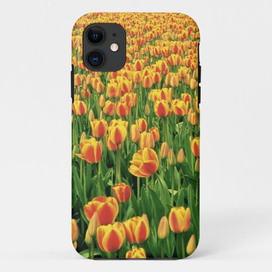 Lentetulpen bloeien voor oude schuur. Case-Mate iPhone case (Achterkant)