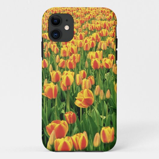 Lentetulpen bloeien voor oude schuur. Case-Mate iPhone case (Achterkant)