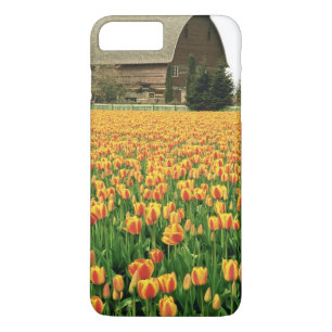 Lentetulpen bloeien voor oude schuur. 	iPhone 8/7 plus hoesje