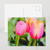 LENTETULPEN BRIEFKAART (Voorkant / Achterkant)