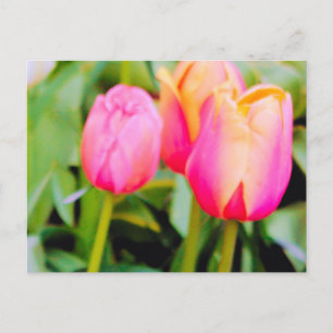 LENTETULPEN BRIEFKAART