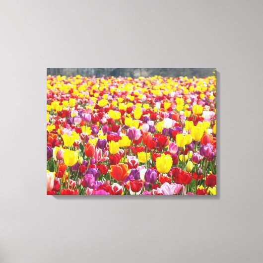 Lentetulpen Canvaspanelen Aangepaste Fijne Kunst Canvas Afdruk (Voorkant)
