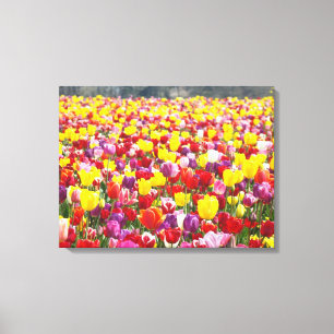 Lentetulpen Canvaspanelen Aangepaste Fijne Kunst Canvas Afdruk