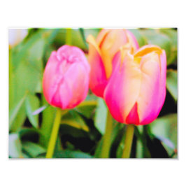 LENTETULPEN FOTO AFDRUK