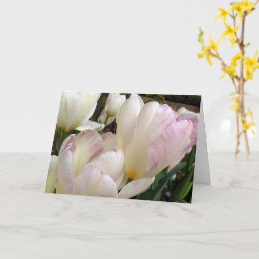 Lentetulpen Kaart (Gele Bloem)