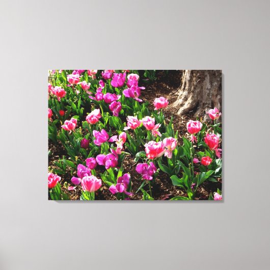 'Lenteveld' Canvasprint met Wikkelrand Canvas Afdruk (Voorkant)