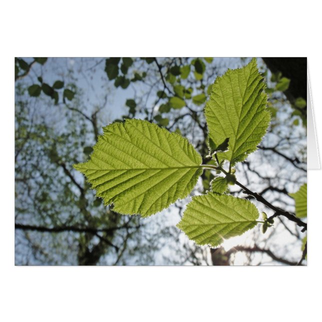 lenteverblaadkaart (Voorkant Horizontaal)