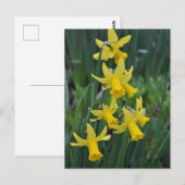 lenteverkledij briefkaart (Voorkant / Achterkant)