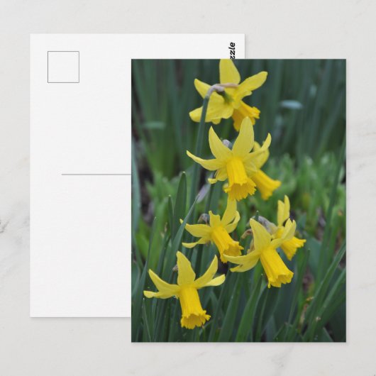 lenteverkledij briefkaart (Voorkant / Achterkant)