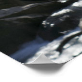 Lentevers aan de kleine duif poster (Hoek)