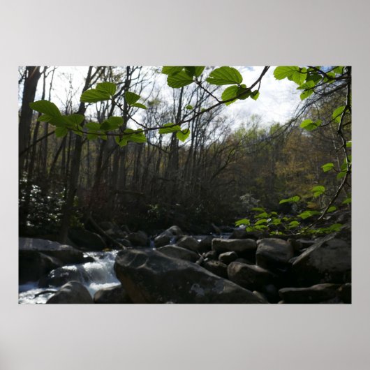 Lentevers aan de kleine duif poster (Voorkant)