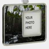 Lentevers aan de kleine duif verzilverd omlijst ornament (Rechts)