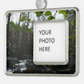 Lentevers aan de kleine duif verzilverd omlijst ornament (Links)