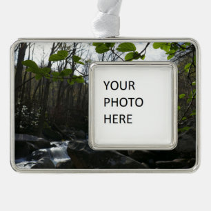 Lentevers aan de kleine duif verzilverd omlijst ornament