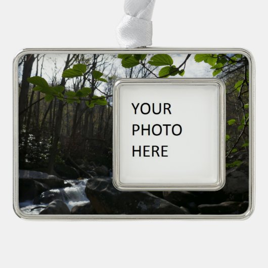 Lentevers aan de kleine duif verzilverd omlijst ornament (Voorkant)