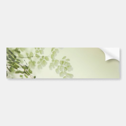 Lentevloeistof Bumpersticker (Voorkant)