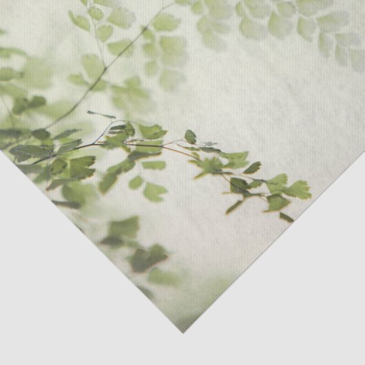 Lentevloeistof Tissuepapier (Detail)