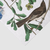 LENTEVOGELS, KLEURRIJKE VEREN EN BLOEMVRUCHTEN TISSUEPAPIER (Detail)