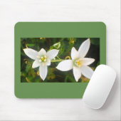 Lentewitte Bloeiende Bloemen Muismat (Met muis)
