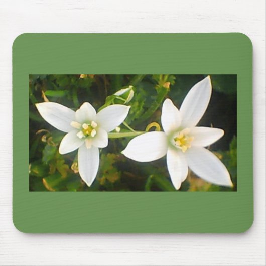 Lentewitte Bloeiende Bloemen Muismat (Voorkant)