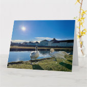 Lentezon  kaart (Gele Bloem)