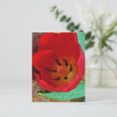 Lentgele en rode tulp briefkaart (Staand voorkant)