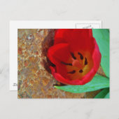 Lentgele en rode tulp briefkaart (Voorkant / Achterkant)