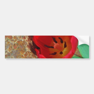 Lentgele en rode tulp bumpersticker