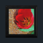 Lentgele en rode tulp cadeaudoosje<br><div class="desc">Lentgeel en Rode Tulp,  tegen een bruine rots bij het Arrowimeer. Foto van Sandy Closs. Pasen,  bloemen,  rode bloemen,  Lente,  valentijn,  valentijnen,  bruiloft,  bruiloften,  Valentijns</div>