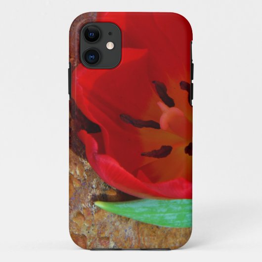 Lentgele en rode tulp Case-Mate iPhone case (Achterkant)