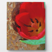 Lentgele en rode tulp fotoplaat (Voorkant)