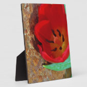 Lentgele en rode tulp fotoplaat (Zijkant)