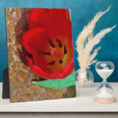 Lentgele en rode tulp fotoplaat (Zijkant)