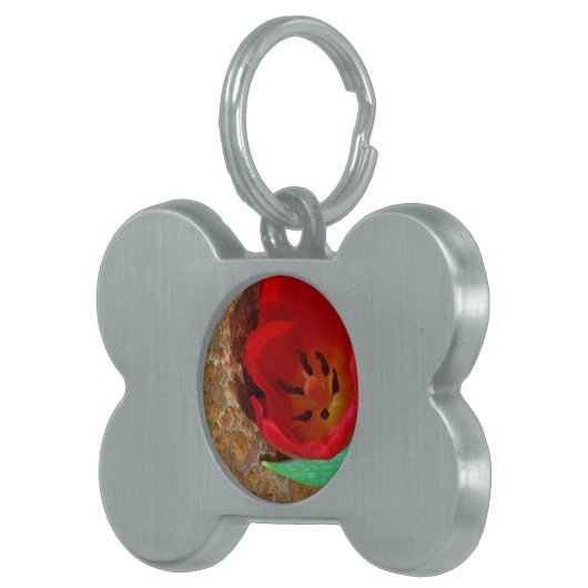 Lentgele en rode tulp huisdieren naamplaatje (Voorkant Rechts)