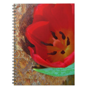 Lentgele en rode tulp notitieboek