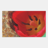 Lentgele en rode tulp rechthoekige sticker (Voorkant)