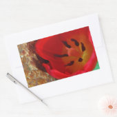 Lentgele en rode tulp rechthoekige sticker (Envelop)