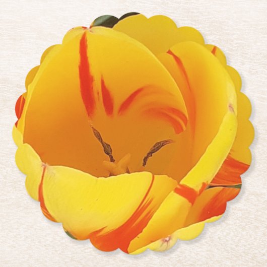 Lentgele tulpen kartonnen onderzetters (Voorkant)