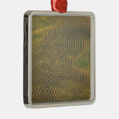 Lentilerwten, voorgerold en nog niet geoogst in metalen ornament (Rechts)