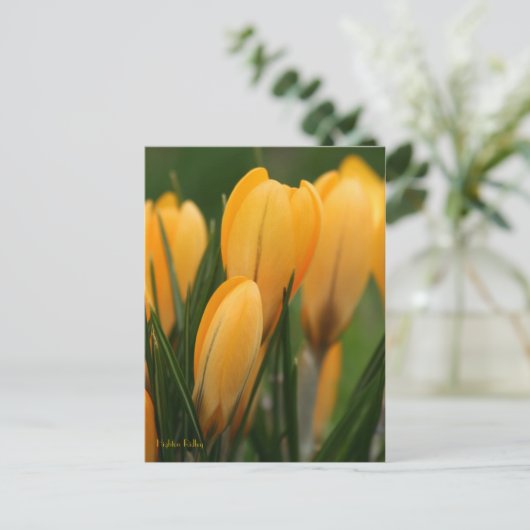 Lentkruiderijen Briefkaart (Staand voorkant)