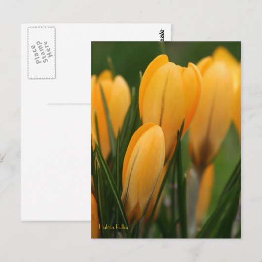 Lentkruiderijen Briefkaart (Voorkant / Achterkant)